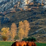 Valle de San Emiliano