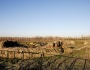 Iglesia Martirial de Marialba de la Ribera